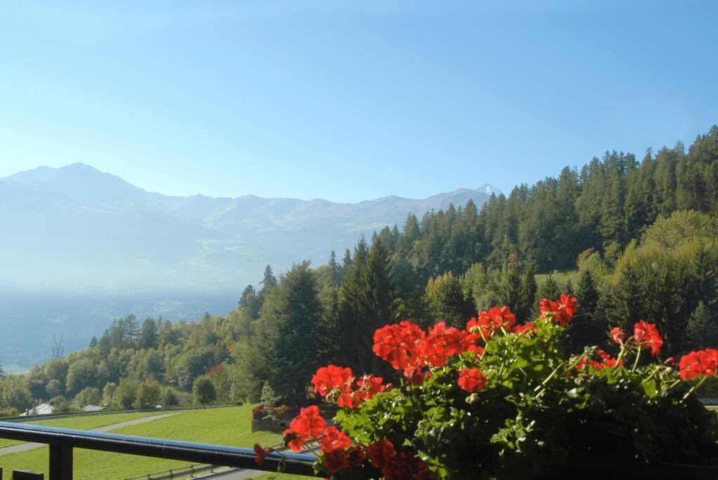 Agriturismo Plan D'Avie Aosta Oda fotoğraf